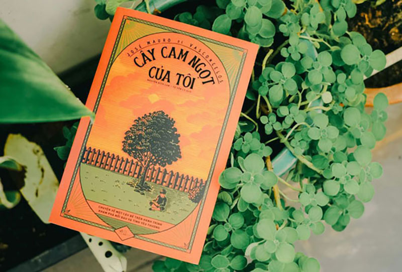 Review sách hay Cây Cam Ngọt Của Tôi