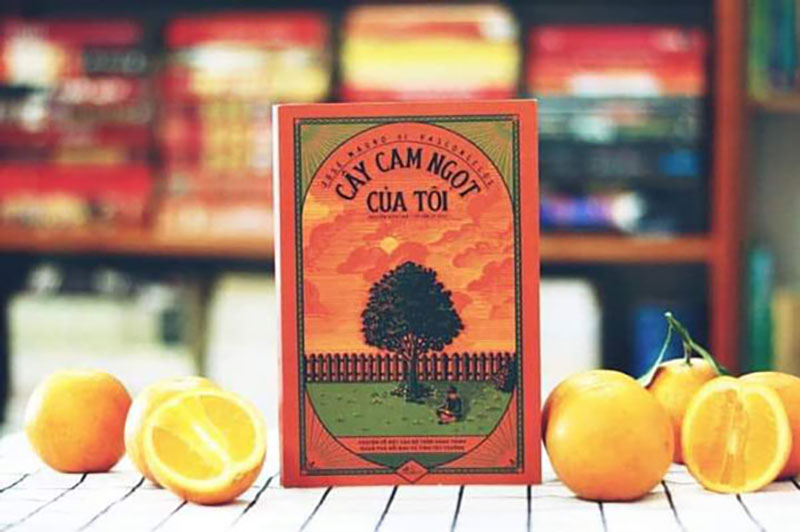 Review sách hay Cây Cam Ngọt Của Tôi