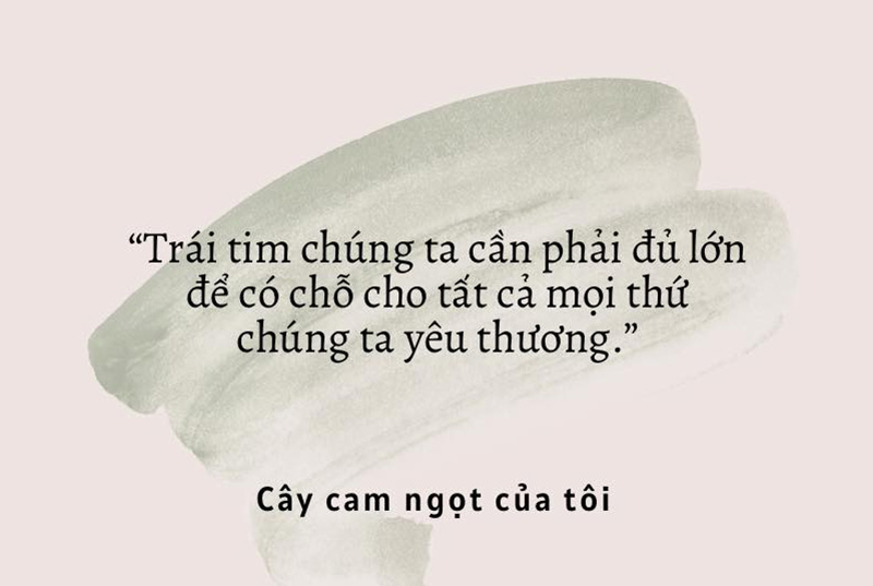 Review sách hay Cây Cam Ngọt Của Tôi